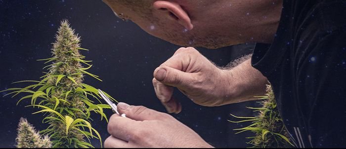 fondo-sobre-nosotros